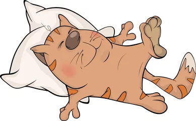 Wandaufkleber Cat and a pillow. Cartoon © liusa