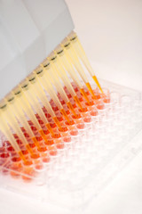 to make an analysis- laboratory