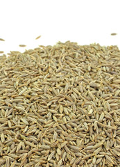 close up of pile of sumin seeds