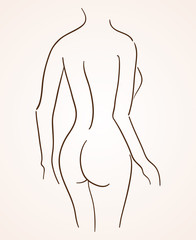 Female Body Silhouette