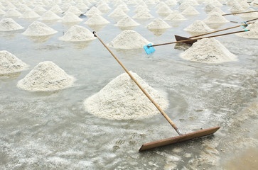 Salt harvesting - 41417594