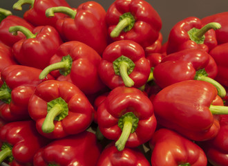red paprika on the floriade show 2012