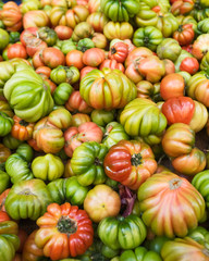 Green and red tomatoes