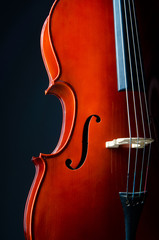 Music concept- close up of cello © Elnur