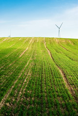 Fototapeta wind turbine farm obraz