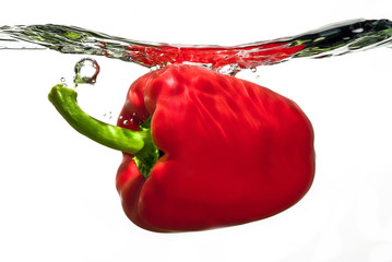 Obrazy na Plexi  red pepper splash