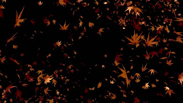 colored_leaves_3d_loopable