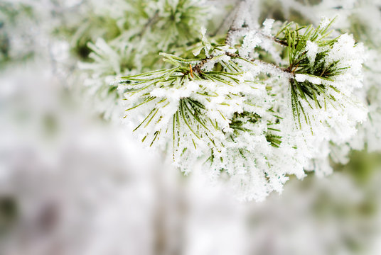 winter background
