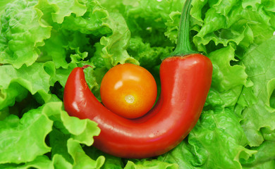 fresh red tomatoes on lettuce with pepper