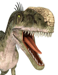 monolophosaurus close up portrait