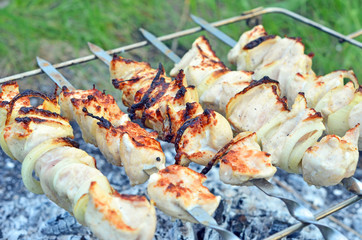 shish kebab on skewers and hot coals