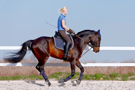 horsewoman