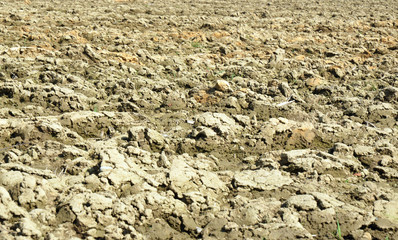 Ploughed field detail