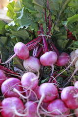 bunches of beets