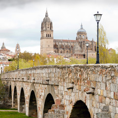 View on Cathedral in Salamanca(Spain)