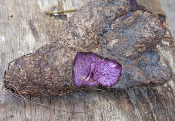 purple yam