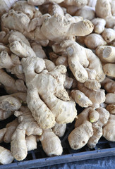 ginger
