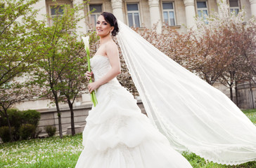 Woman bride dress veil