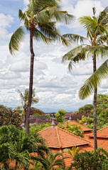 Fototapeta na wymiar top view on big palm trees and tile roofs