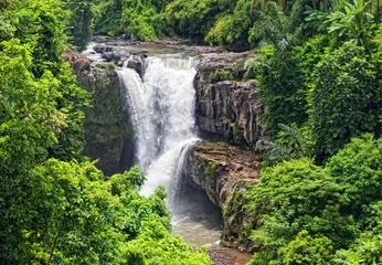 Fototapeten Tegenungan Wasserfall - Wasserfall von Bali © Shchipkova Elena