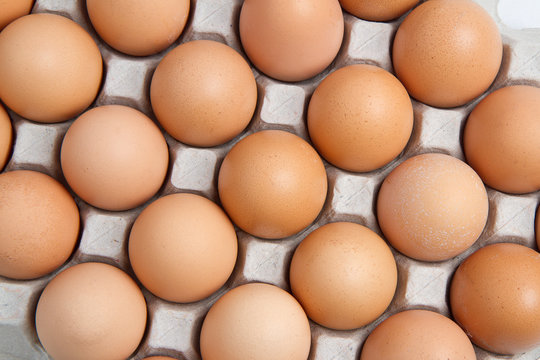 Brown eggs in the box