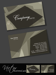 Abstract professional and designer business card template or vis