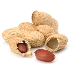 Peanut