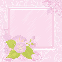 Background with flowers Ipomoea