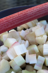 Rhubarbe