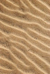 Fototapeta na wymiar Plage de sable
