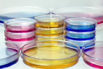 placas petri con fluidos de colores
