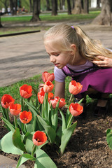 Девочка нюхает тюльпаны на клумбе в парке