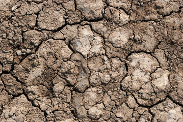 Terre sèche craquelée