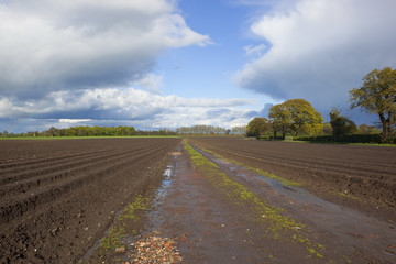 showers over farmland