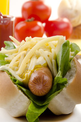 hotdog with lettuce and grated mature cheese