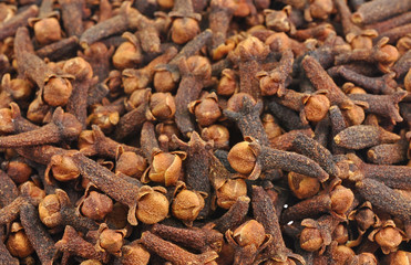 close up of pile of clove buds
