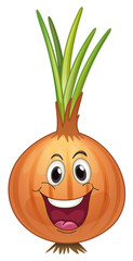 Onion