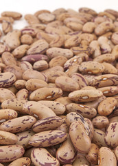 close up of seeds of kidney bean