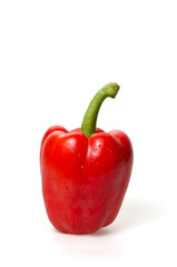 Rote Paprika