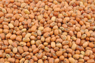 dried seeds of black eyed pea bean