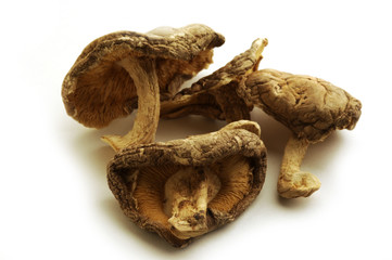 Funghi secchi Dried mushrooms 干香菇