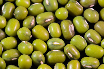 Fagioli azuchi verdi