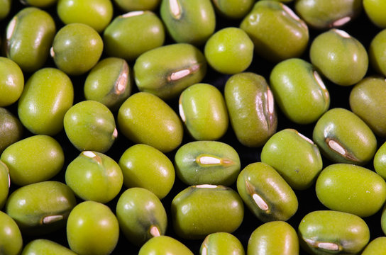 Fagioli azuchi verdi