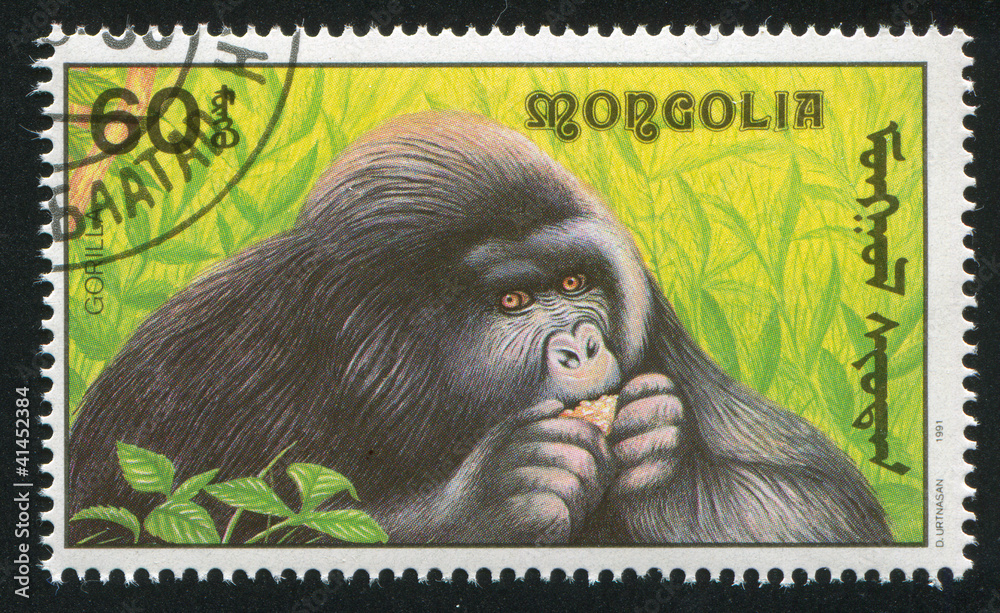 Poster gorilla