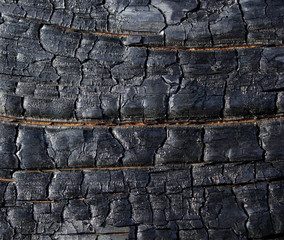 burned wood