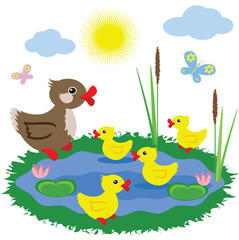Obraz na płótnie Canvas Pond with ducks.