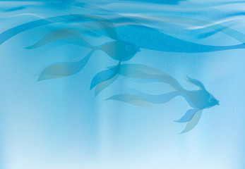 Fototapeta na wymiar Dwa goldfishes / Underwater tło