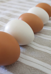 Oeufs dressés