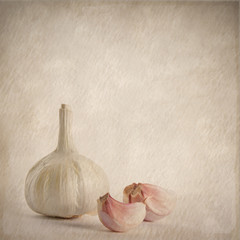 garlic retro design