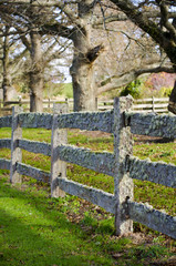 Fototapeta premium Old post and rail fence covered in moss